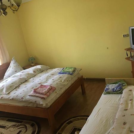 Pensiunea Vasilica Ceterasu Onceşti エクステリア 写真